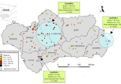 Epidemiology of paratuberculosis in sheep and goats in southern Spain