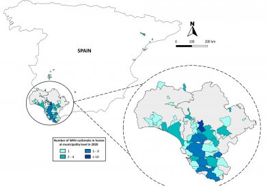 High exposure of West Nile virus in equid and wild bird populations in Spain following the epidemic outbreak in 2020