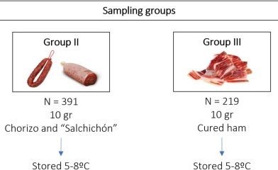 Prevalence of Paslahepevirus balayani in commercial swine food products from Spain