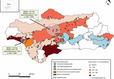 Epidemiological survey and risk factors associated with Sarcoptes scabiei in wild lagomorphs in Spanish Mediterranean ecosystems
