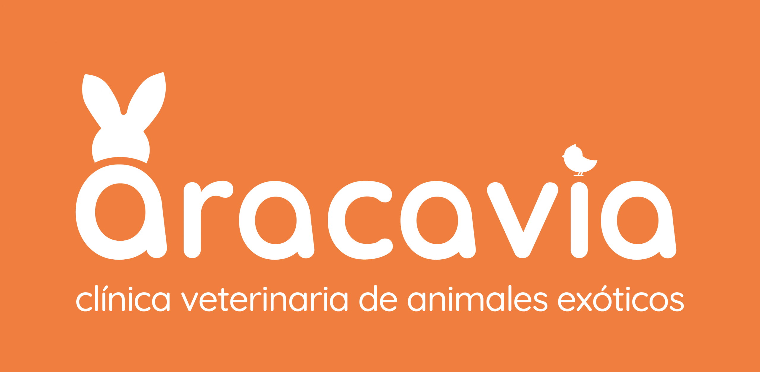 CV ARACAVIA