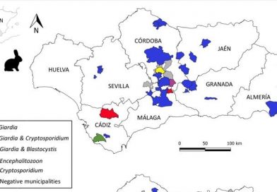Iberian wild leporidae as hosts of zoonotic enteroparasites in Mediterranean ecosystems of Southern Spain