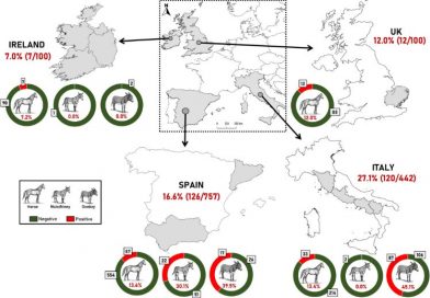 Seroepidemiological study of Toxoplasma gondii in equids in different European countries