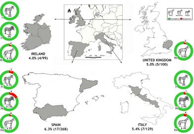 Epidemiological survey and risk factors associated with Paslahepevirus balayani in equines in Europe