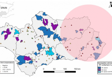 Mycobacterium tuberculosis complex in domestic goats in Southern Spain