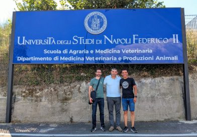 Movilidad docente – Universidad de Nápoles Federico II