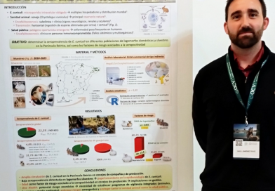 IV Congreso Internacional de Sanidad y Bienestar Animal