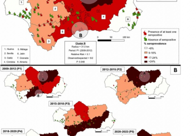 Long-term serological monitoring of Leishmania infantum in European wild rabbits (Oryctolagus cuniculus) in Mediterranean ecosystems of southern Spain