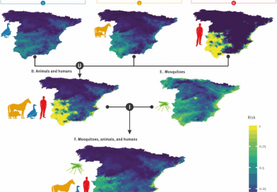 Predicting West Nile virus circulation: a 20-year spatiotemporal study in humans and animals in Spain, 2003 to 2022