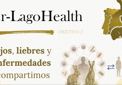 Proyecto Iber-LagoHealth Objetivo 2