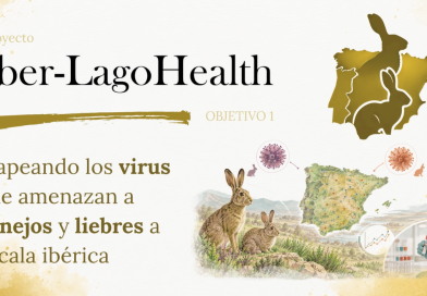 Proyecto Iber-LagoHealth – II